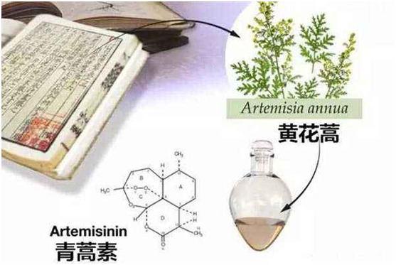LEDONG体育·（中国）官方网站,：向中医药看齐，与世界共享中医药文化(图1)